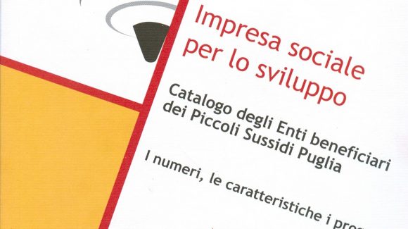 Impresa sociale per lo sviluppo Impresa sociale per lo sviluppo