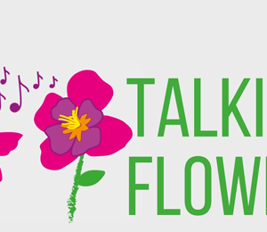 Talking flower: Posillipo si colora dei fiori realizzati dai giardinieri-artisti sociali dell’Aquilone Service